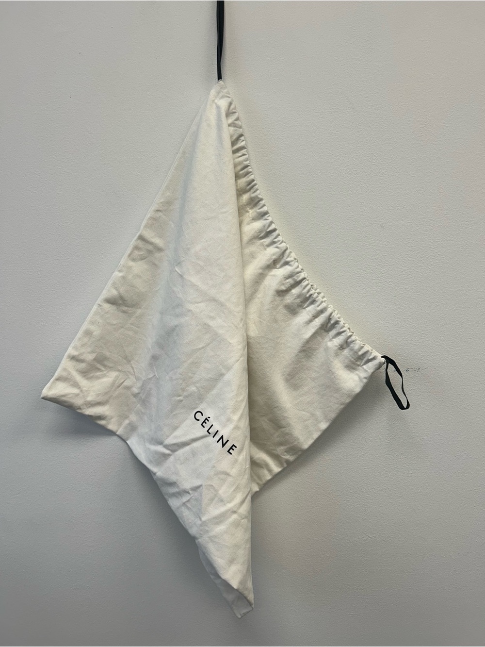 Céline Dust Bag - Big